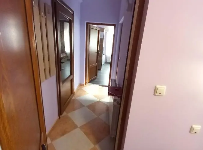 Marisol 艾福雷诺德